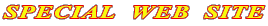 SPECIAL  WEB  SITE
